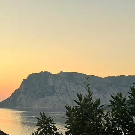 Appartamento Punta Est Bellissimo 3 Vista Mare Capo Coda Cavallo