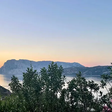 Punta Est - Quadri Pegaso Terrazza & Vista Mare * Capo Coda Cavallo